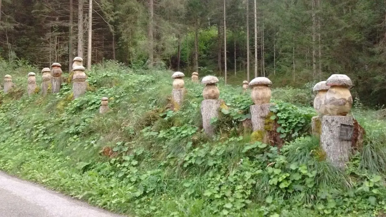 Casa Il Picchio Rosso Hotel Domegge di Cadore